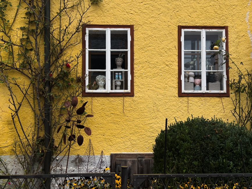 Close-up of a freshly painted wall surface